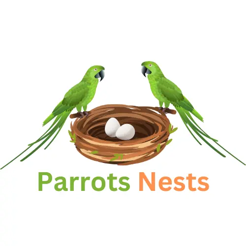 Parrots Nests