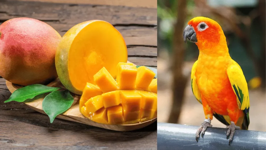 Other Fruits Parrots Can Enjoy