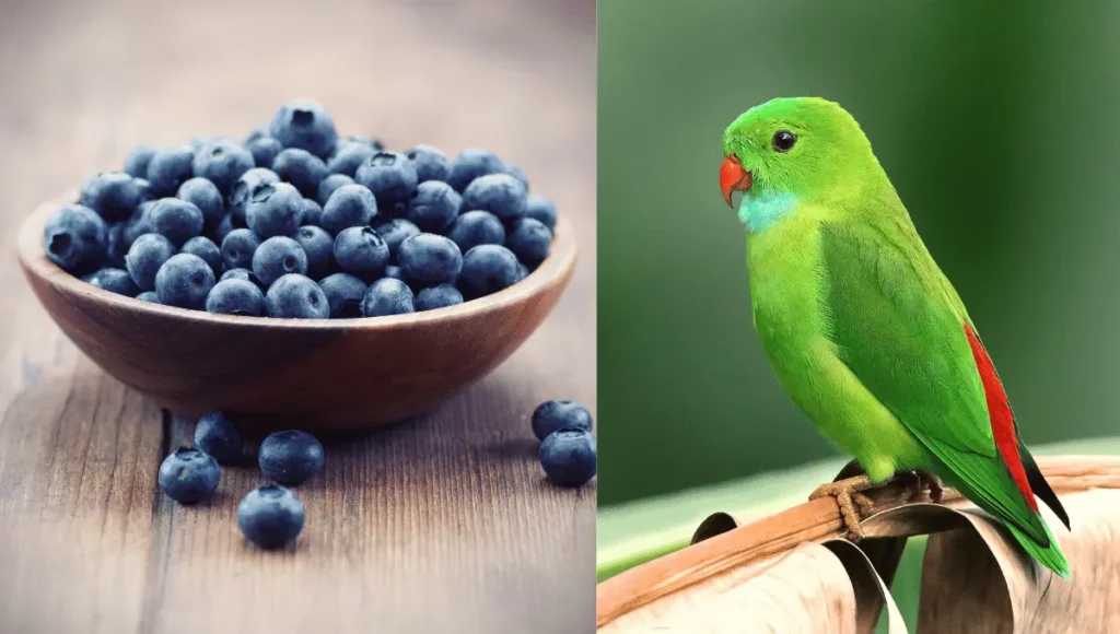 Can Parrots Eat Blueberries