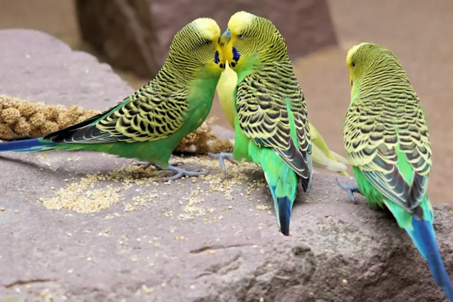 The Fascinating Story of the Carolina Parakeet