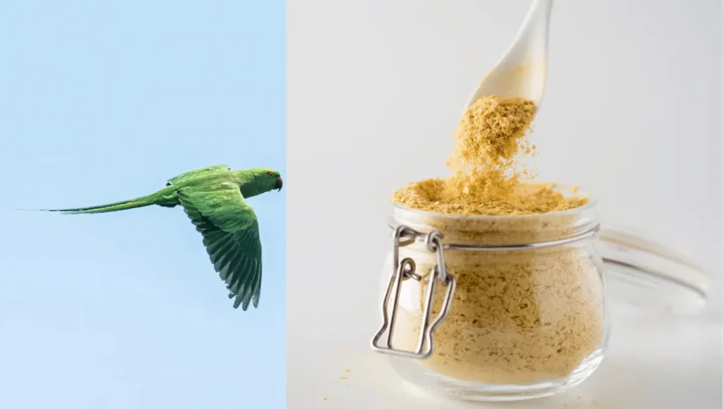 How to Serve Nutritional Yeast to Parrots